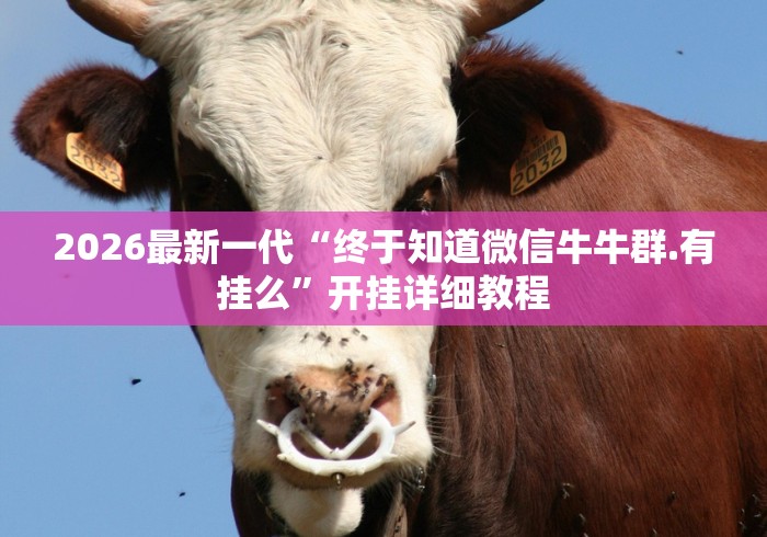 2026最新一代“终于知道微信牛牛群.有挂么”开挂详细教程