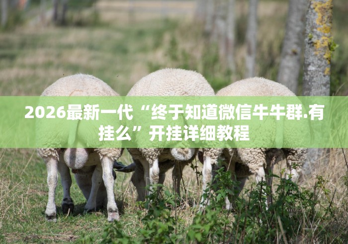 2026最新一代“终于知道微信牛牛群.有挂么”开挂详细教程
