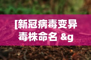 3分钟学会“夜猫麻将有挂吗”(原来确实是有插件)