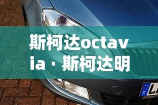 【盘点十款】“嘟嘟十三张官方免费挂”开挂辅助脚本+详细开挂