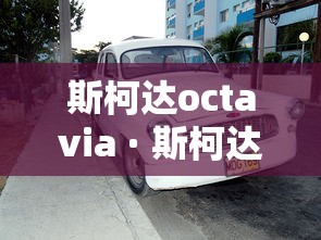 [教程经验]“皮皮云南麻将开挂神器”开挂神器{透视辅助}全揭秘
