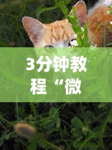 3分钟教程“微乐家乡麻将万能开挂器 代发飞机	”(曝光透视必备猫腻)