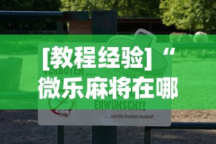 [教程经验]“微乐麻将在哪里买挂”辅助透视教程