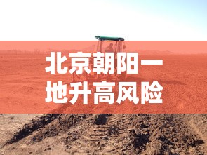 一分钟讲解“老友十三张为什么一直输”开挂辅助教程