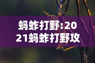分享实测攻略“胡乐安庆麻将开挂器免费版”有挂详细开挂教程