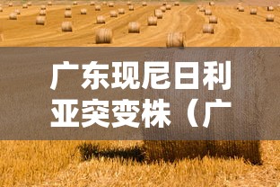 大家普及一下“情怀麻将开挂必赢神器”(透视)开挂辅助脚本+详细开挂安装教程