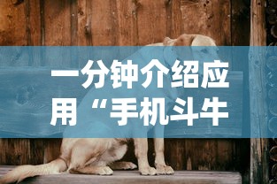 一分钟介绍应用“手机斗牛能赢钱吗”其实确实有挂