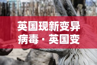 必备科技“微乐广东麻将万能开挂器”(透视)开挂辅助脚本+详细开挂安装教程