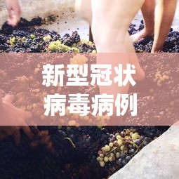 实测!“微乐免费房间怎么开挂	”开挂辅助脚本+详细开挂