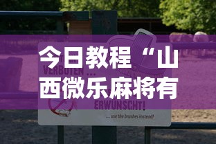 今日教程“山西微乐麻将有没有挂”(透视)开挂详细教程