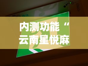 内测功能“云南星悦麻将开挂神器	”(原来确实是有挂)