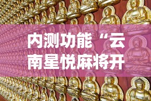 内测功能“云南星悦麻将开挂神器”(原来确实是有挂)