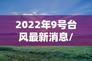 实操教程“决战十三水开挂神器”揭秘透视辅助万能挂