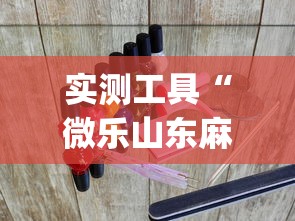 实测工具“微乐山东麻将游戏攻略秘籍”(透视曝光猫腻)