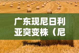必看教程“胡乐麻将有挂吗[真的有挂]