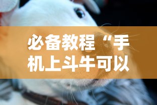 必备教程“手机上斗牛可以开挂嘛”通用版下载教程！