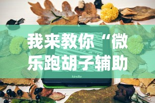 我来教你“微乐跑胡子辅助器”开挂(透视)辅助
