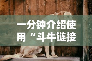 一分钟介绍使用“斗牛链接房卡怎么弄”购买房卡介绍